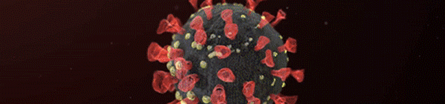 600-Evolving-virus-GIF-4-reversed